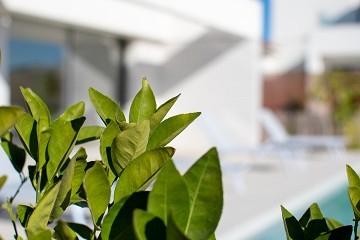 Fantastic newly produced villas in two floors - Lotus Properties