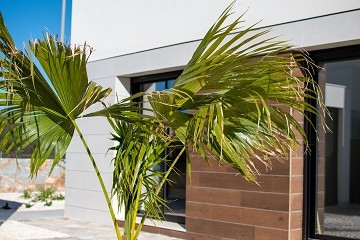 Fantastic newly produced villas in two floors - Lotus Properties