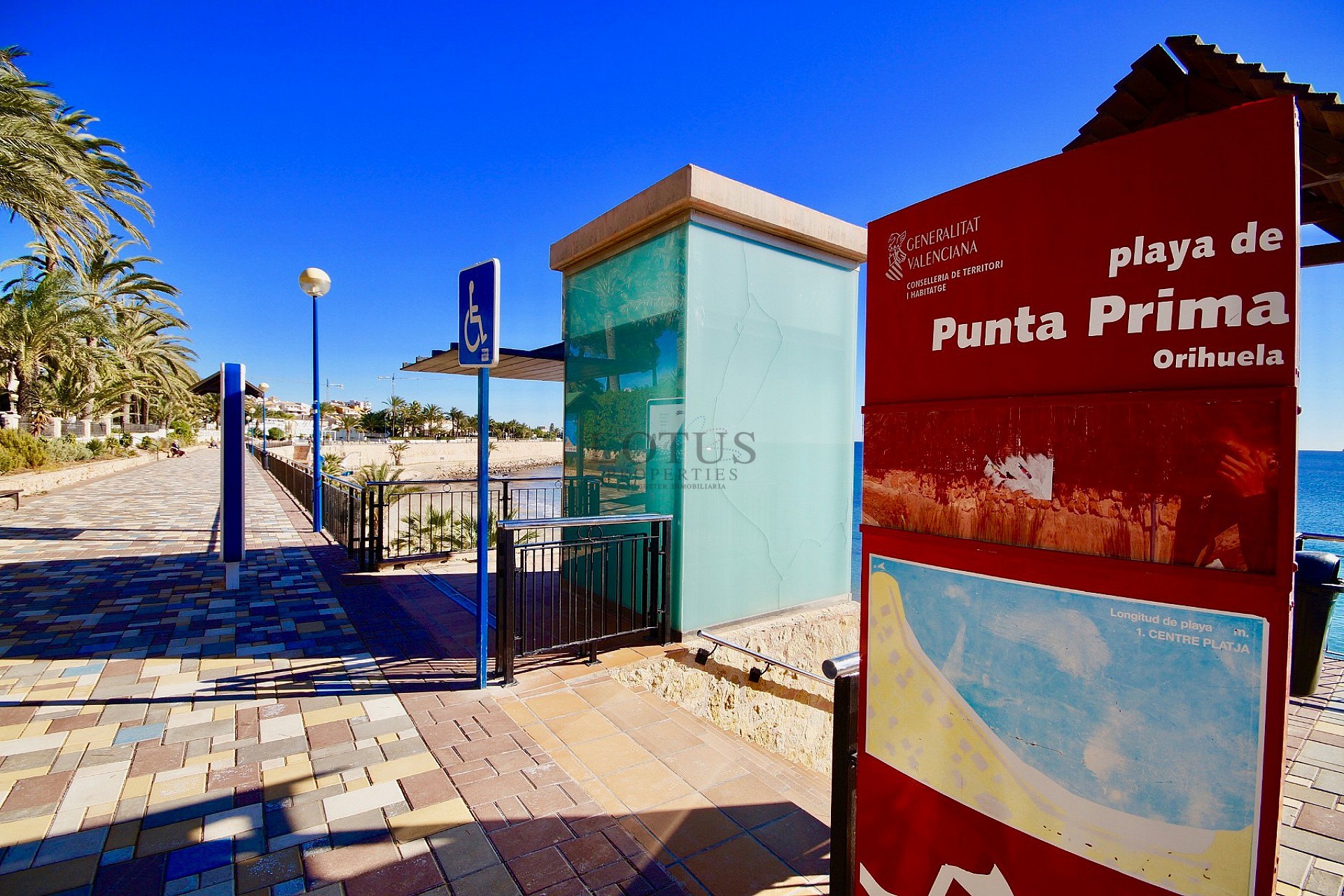 3 Sovrum Villa Monteolivo - Los Altos - Lotus Properties