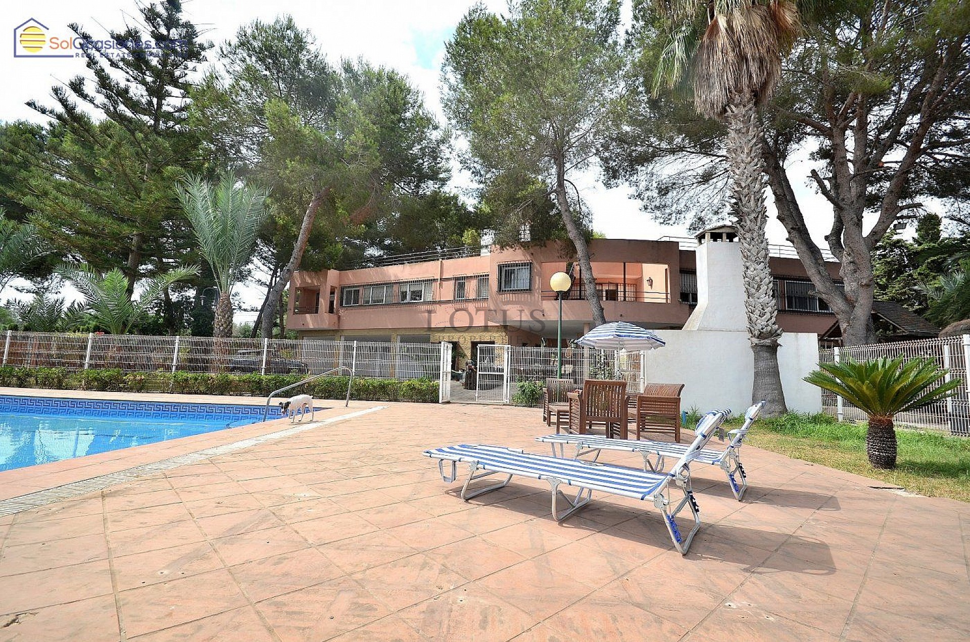 Extraordinär VILLA i Los Balcones - Torrevieja - Lotus Properties