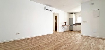 FANTASTIC RENOVATED DETACHED VILLA IN SAN LUIS - TORREVIEJA - Lotus Properties