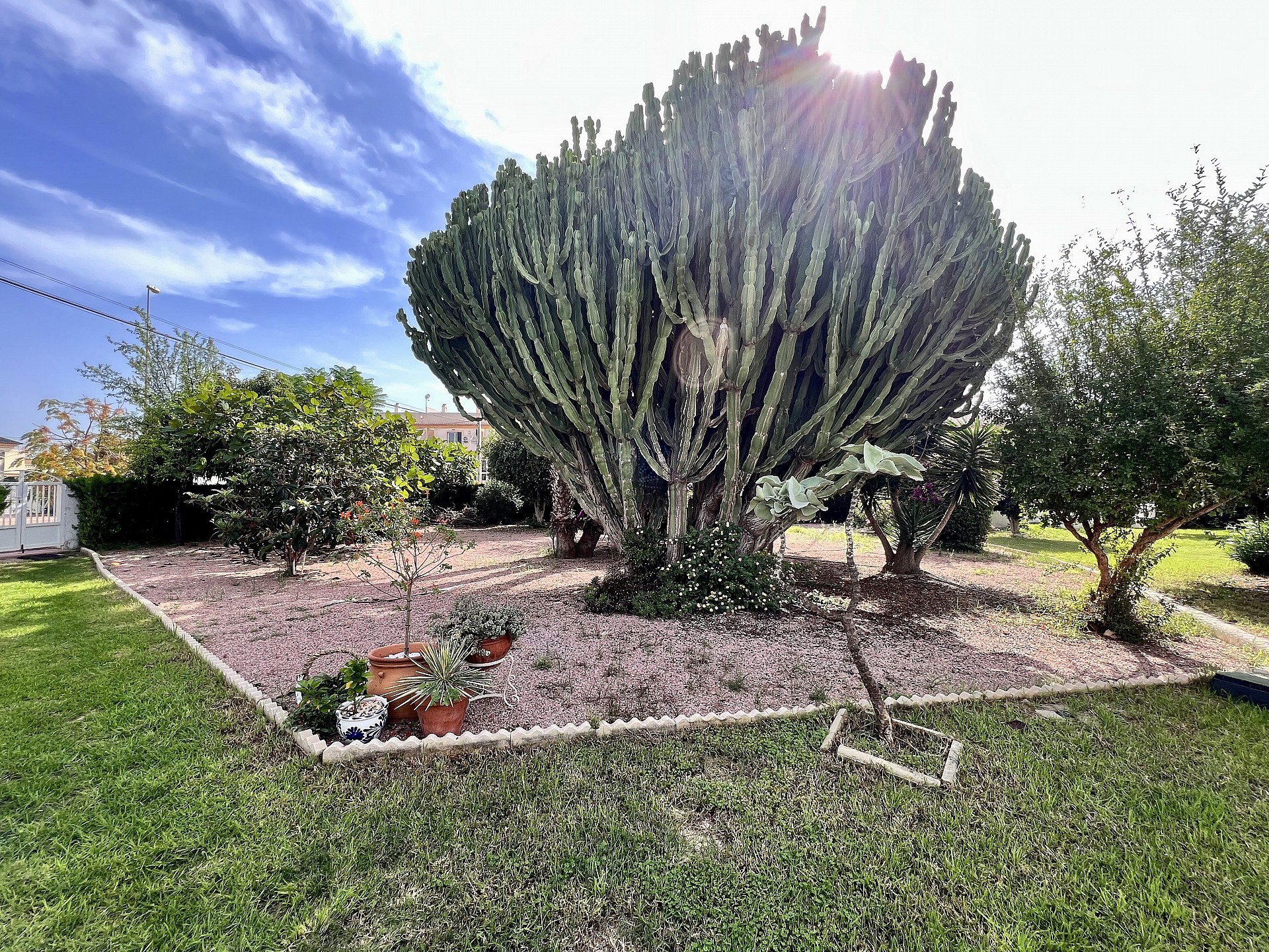 Gerenoveerd gelijkvloers huis in La Florida - Lotus Properties