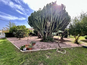 Nyrenoverad enplanshus in Florida - Lotus Properties