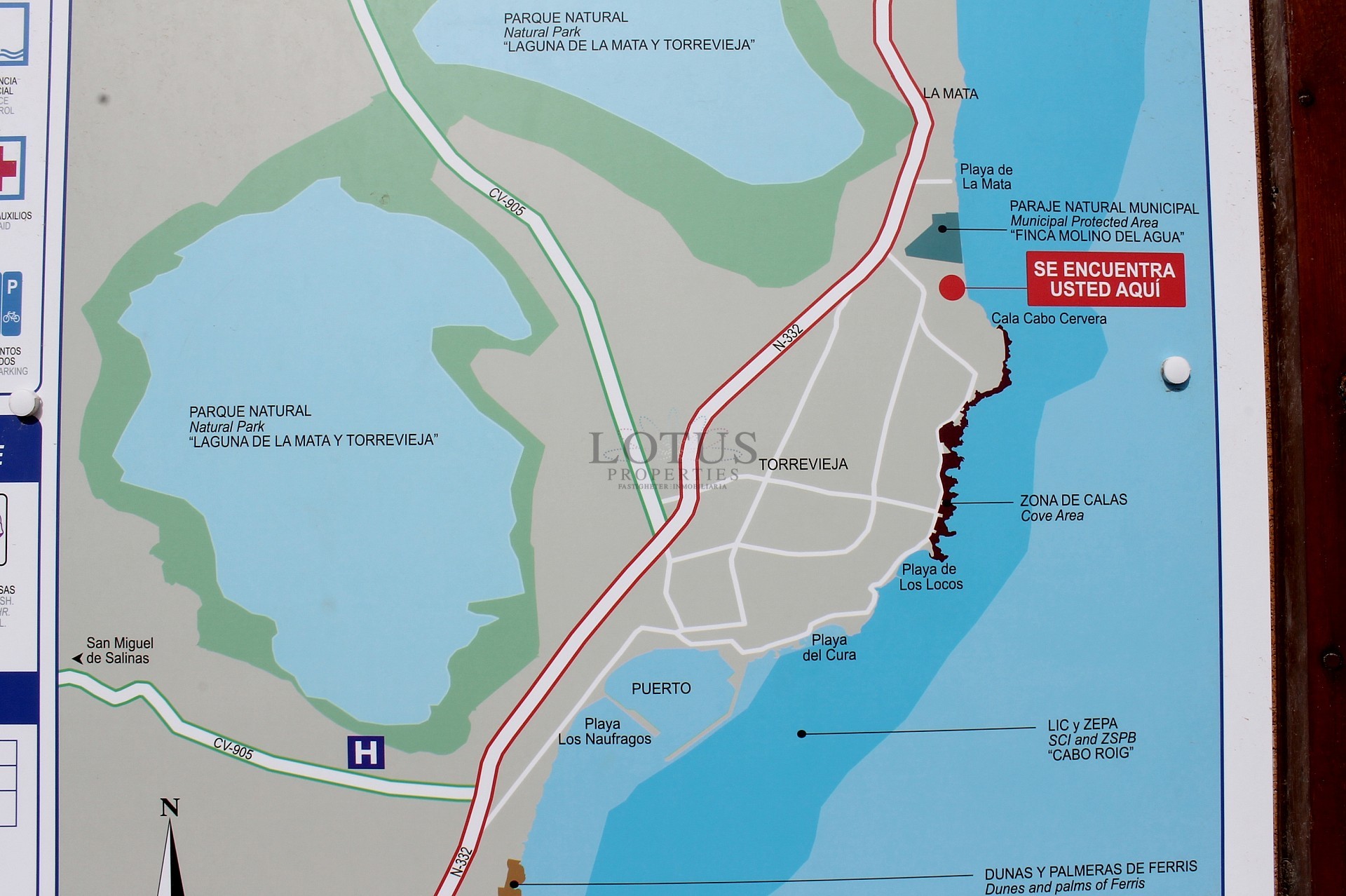 Newly built studios on La Mata beach - Lotus Properties