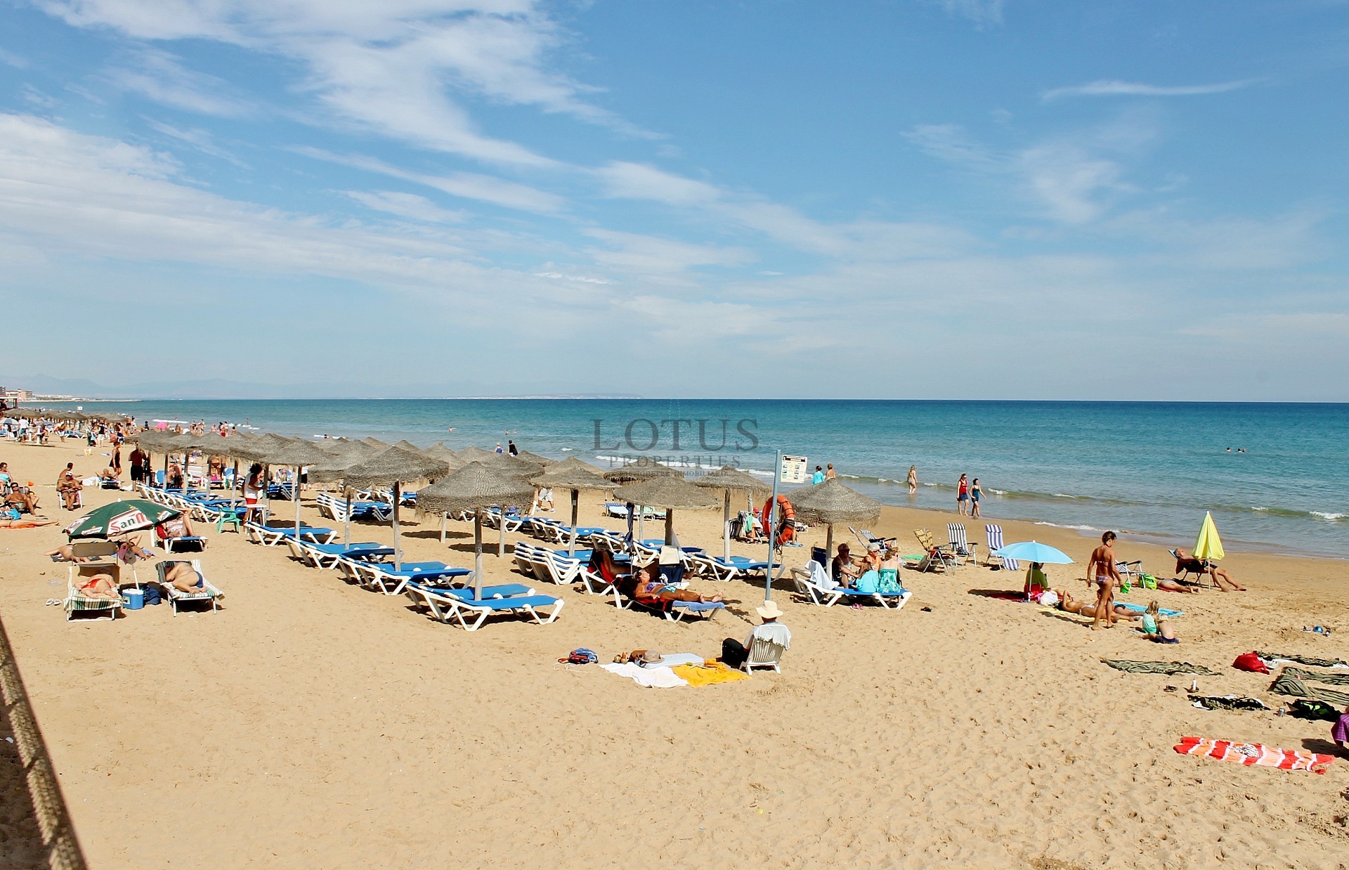 Newly built studios on La Mata beach - Lotus Properties