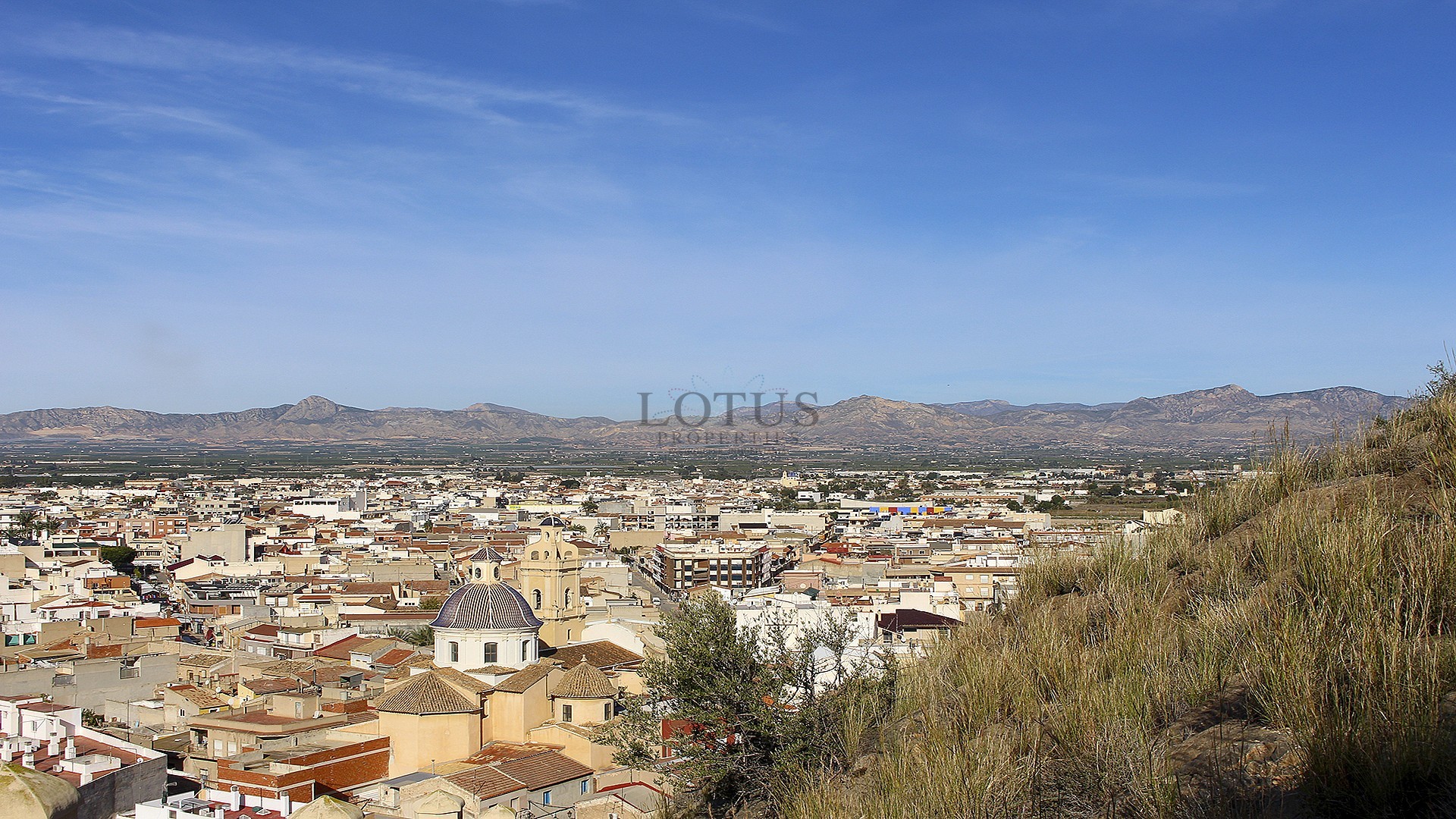 Townhouses with solarium and swimming pool in Cox - Alicante - Lotus Properties