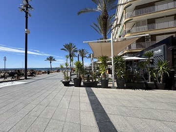 Reformado con 3 dormitorios a sólo 100 m del mar - Torrevieja - Lotus Properties