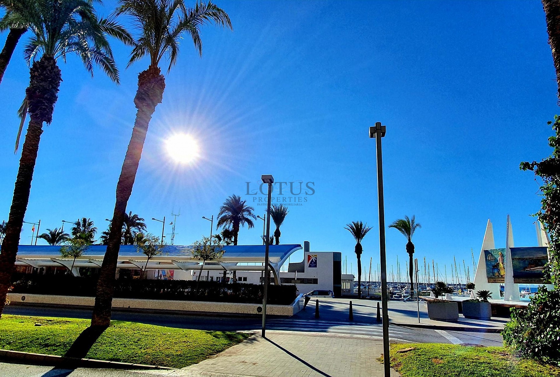 Bargain apartment 100 meters from the sea - Torrevieja - Lotus Properties