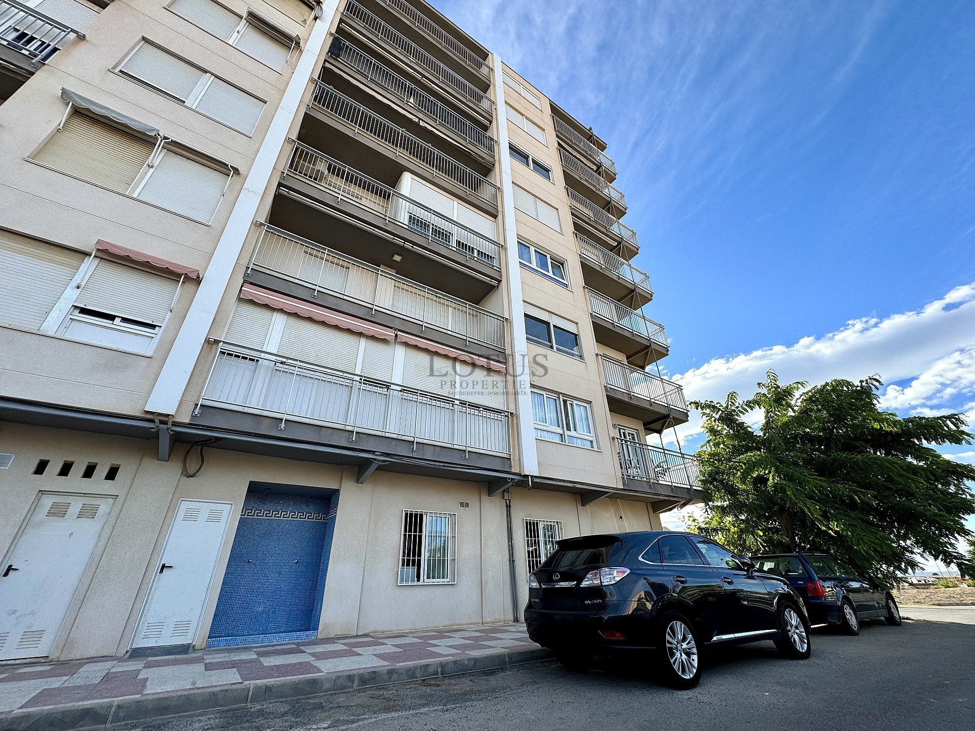 Bargain apartment 100 meters from the sea - Torrevieja - Lotus Properties