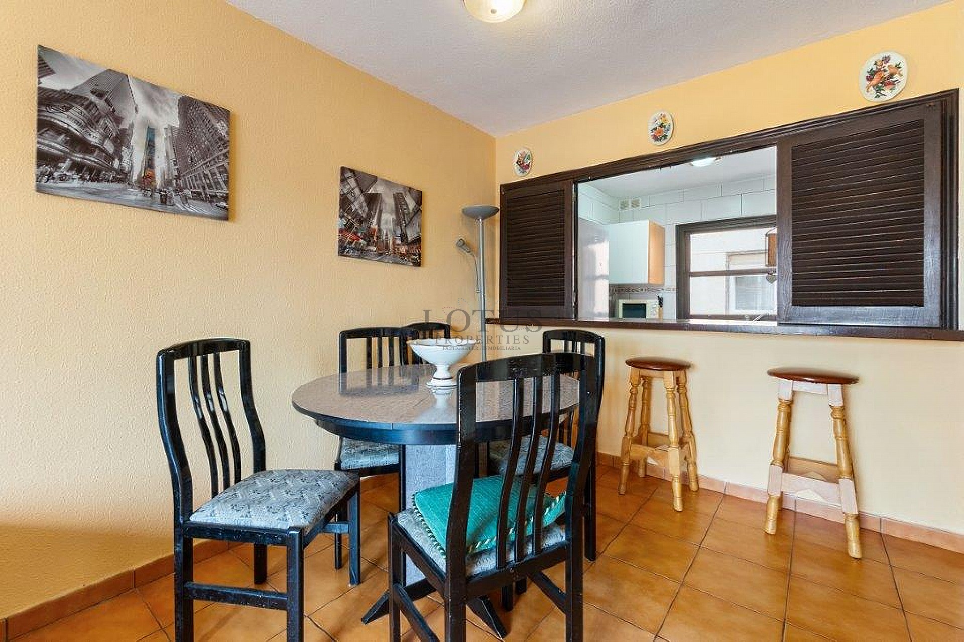 Apartamento Dúplex en La Mata con azotea y vistas al mar! - Lotus Properties