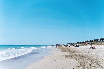 Experience the Mediterranean in Luxury  - Lotus Properties