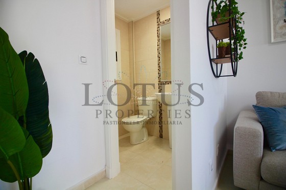 Nya & Prisvärda radhus - Torrevieja - Lotus Properties