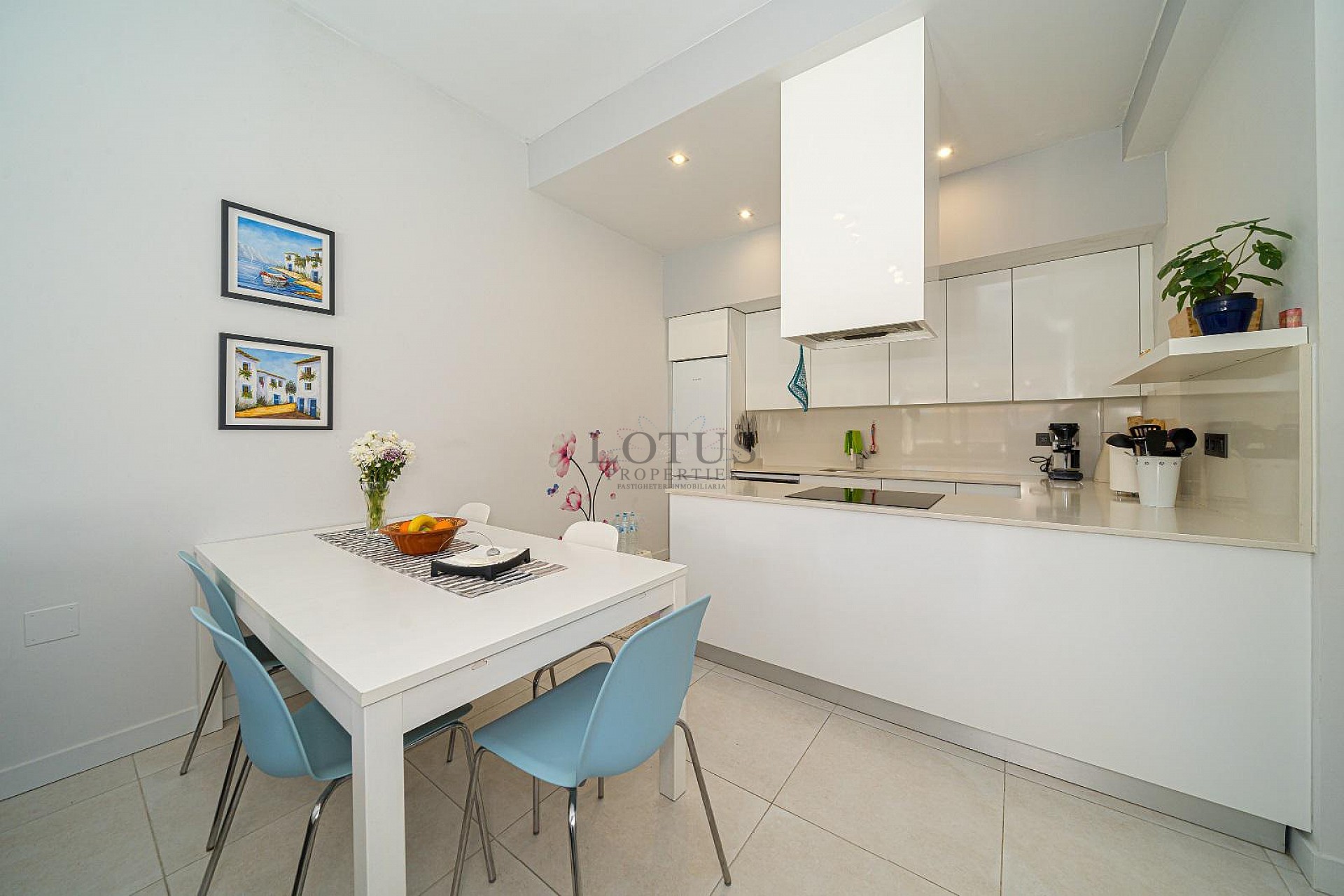 MODERN VILLA WITH 3 BEDROOMS AND 2 BATHROOMS - PRIVATE HEATED SALTWATER POOL - Lotus Properties