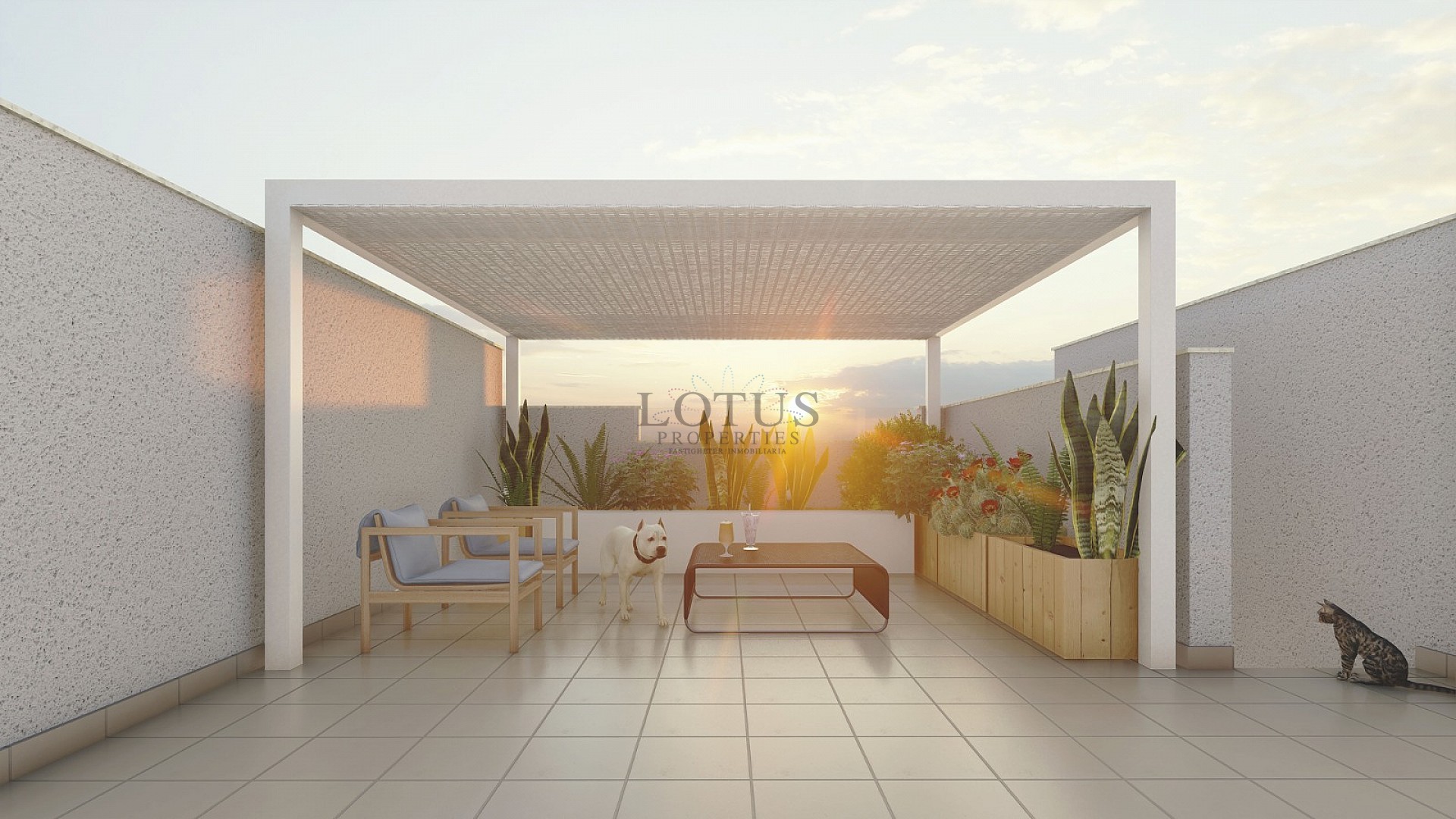 New townhouses with 3 bed & solarium - Pilar de la Horadada - Lotus Properties