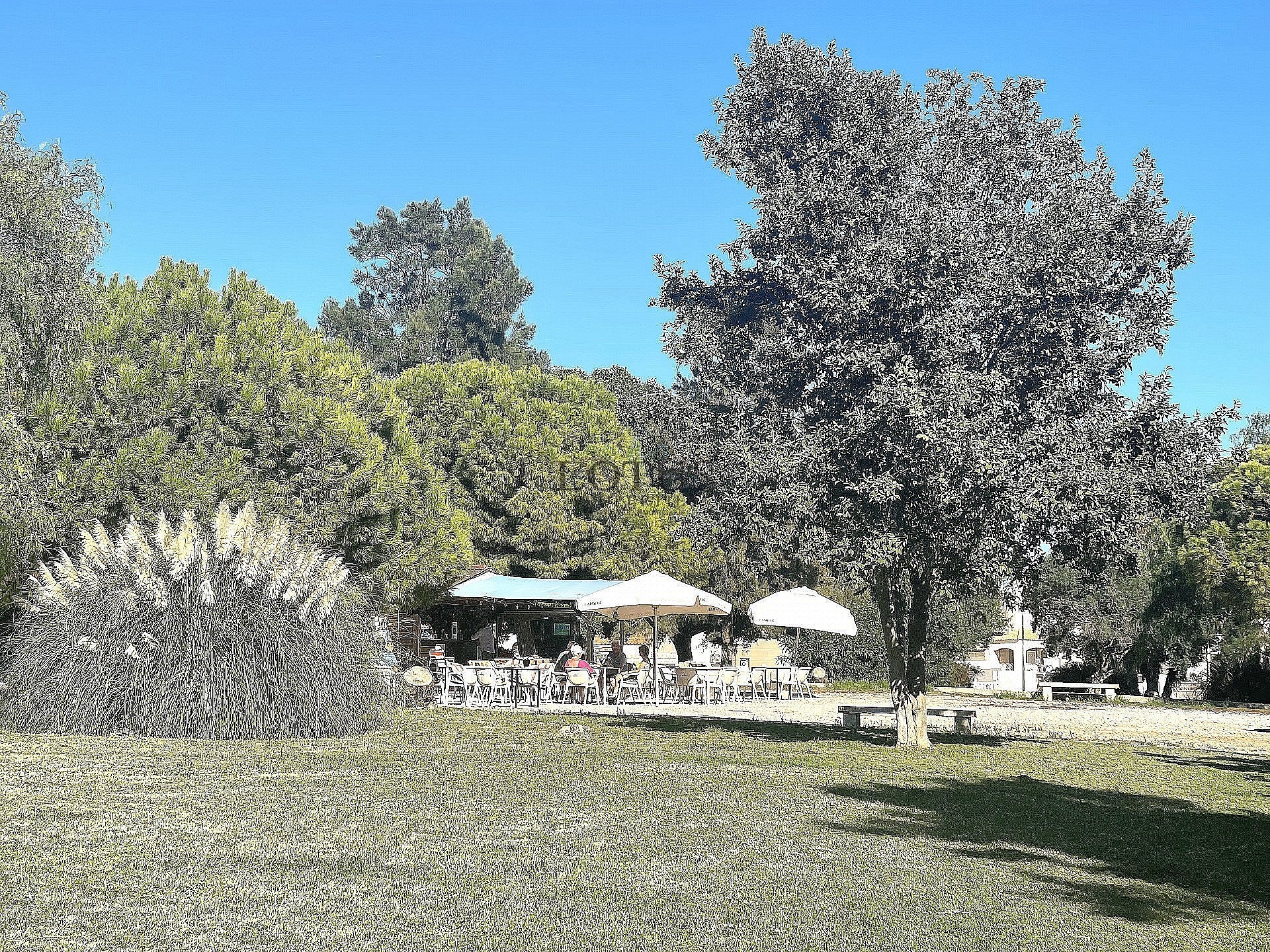 Super bonito ático con azotea en ubicación suroeste en Altos de la Bahía XI - Lotus Properties