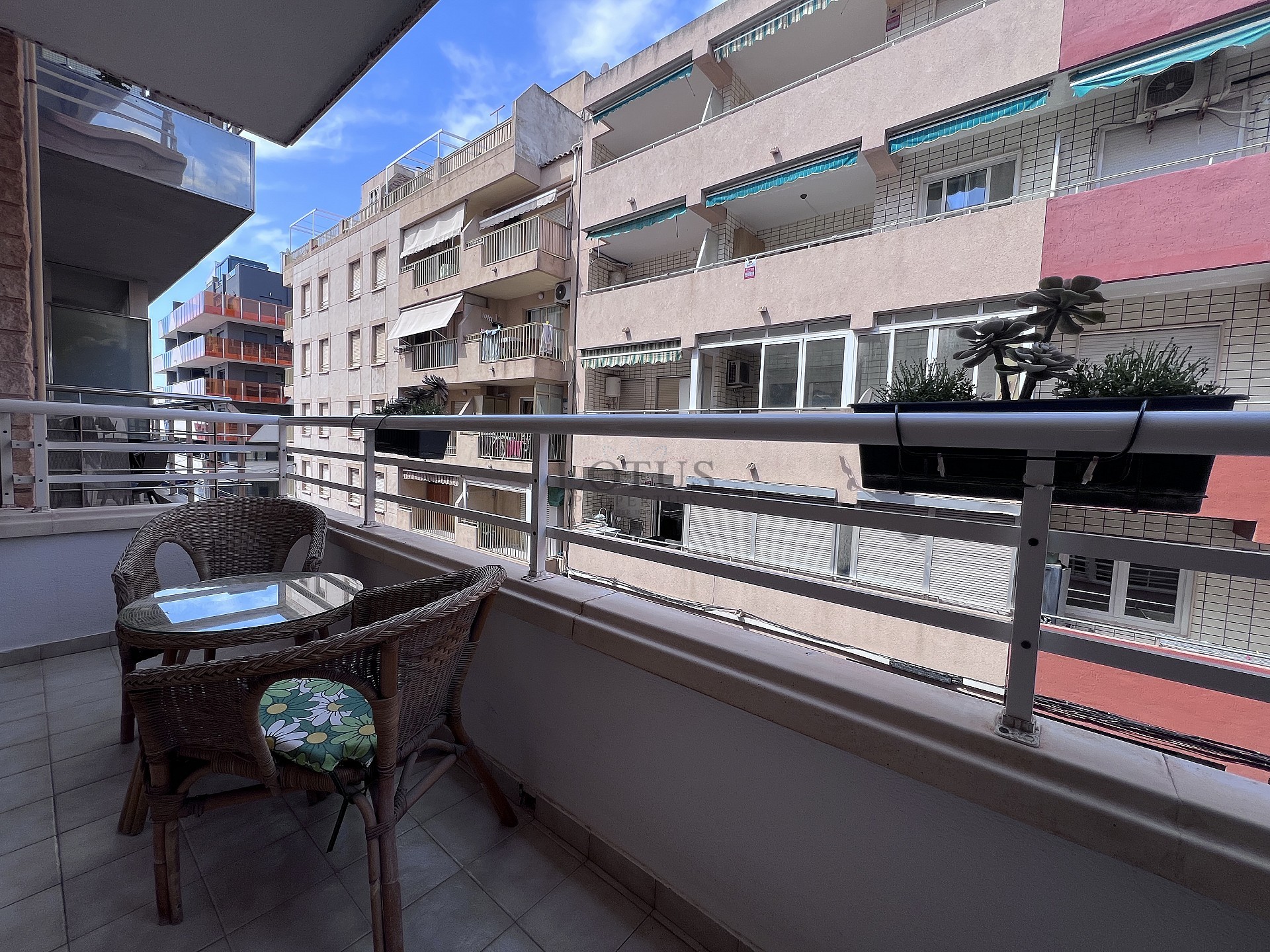 Short term rental 60 meters to Los Locos Beach - Lotus Properties