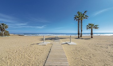 New apartments just 700 m too La Mata Beach - Lotus Properties