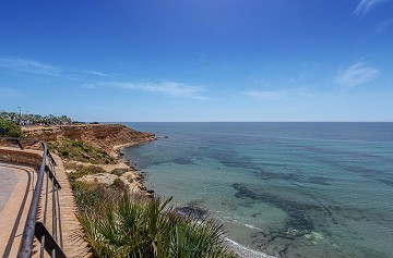 New apartments just 700 m too La Mata Beach - Lotus Properties