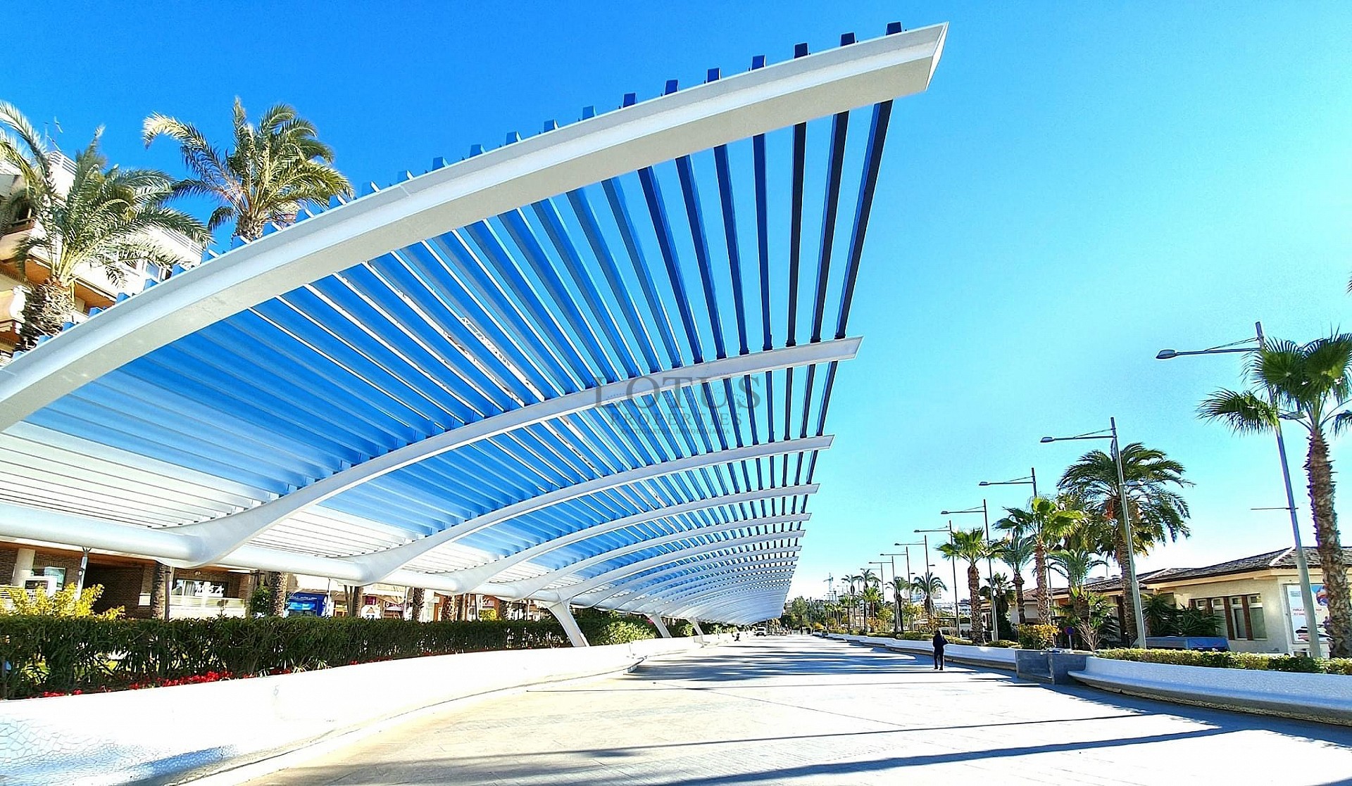 New apartments in Torrevieja City - Lotus Properties