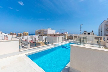 FANTÁSTICO PISO DE 3 DORMITORIOS A TAN SOLO 90 METROS DE LA PLAYA DEL CURA EN TORREVIEJA CON PISCINA - Lotus Properties
