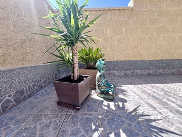 Onlangs gerenoveerd gelijkvloers herenhuis in Torreta - Lotus Properties