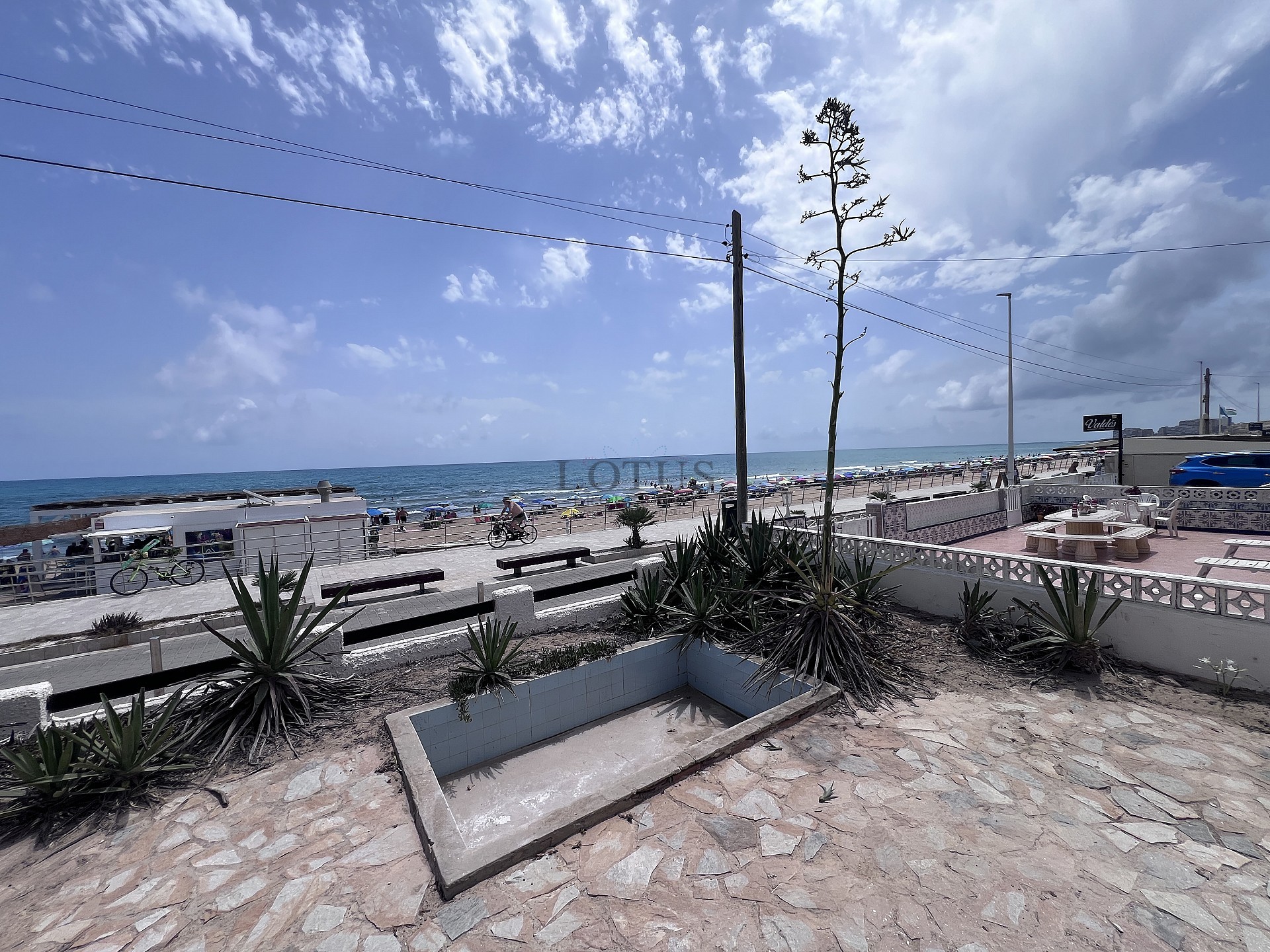 Refurbished house, first line La Mata beach - Lotus Properties