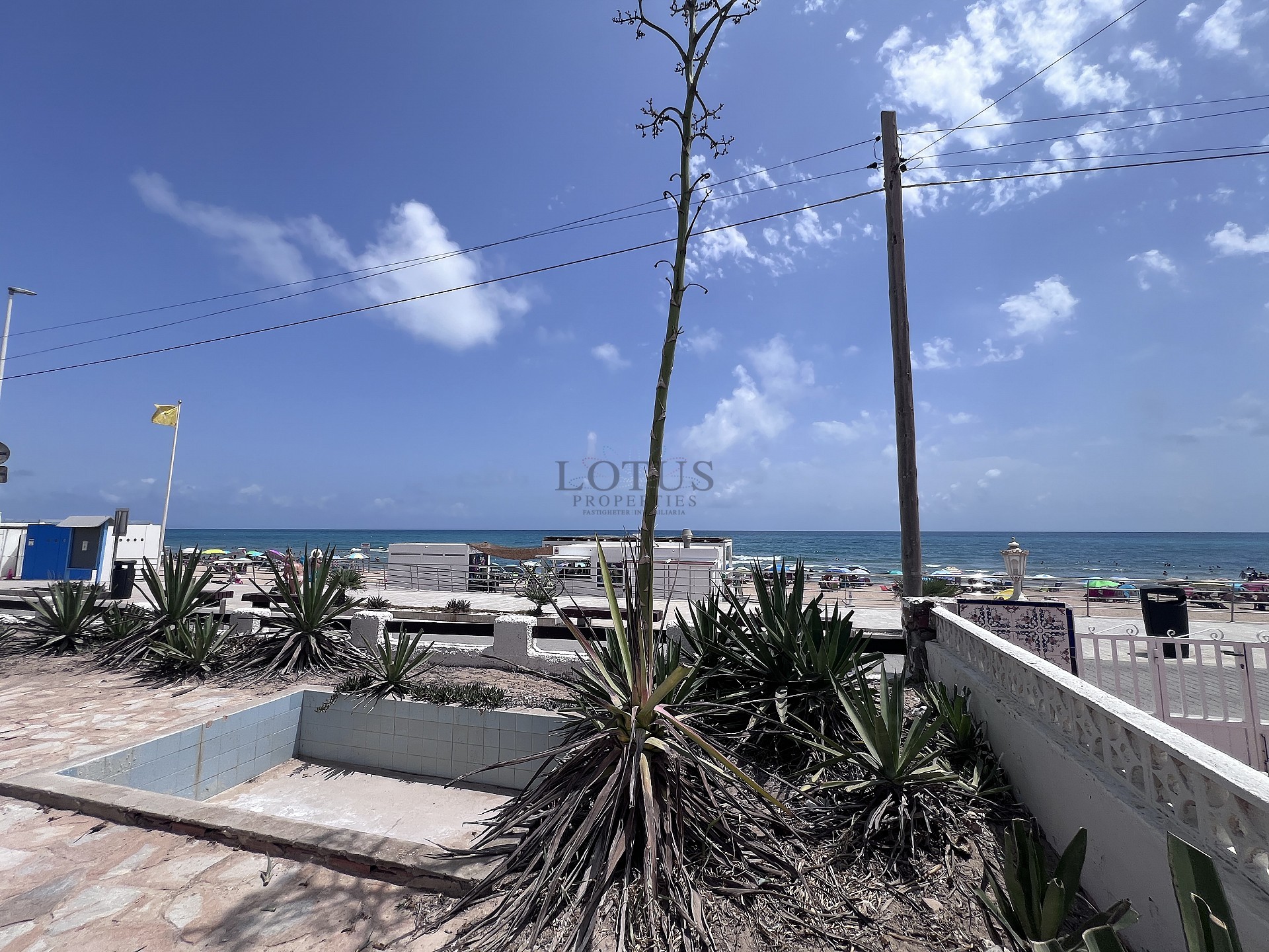 Refurbished house, first line La Mata beach - Lotus Properties