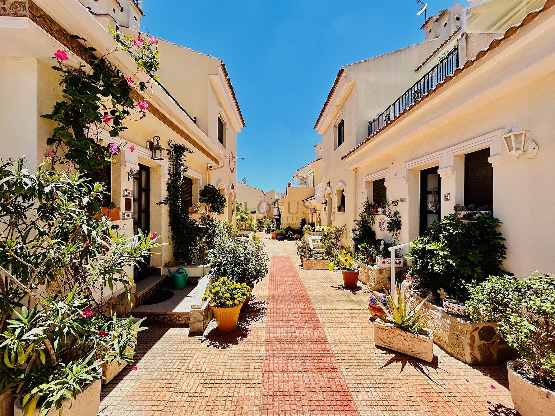 Lägenhet med panoramautsikt i Ciudad Quesada - Lotus Properties