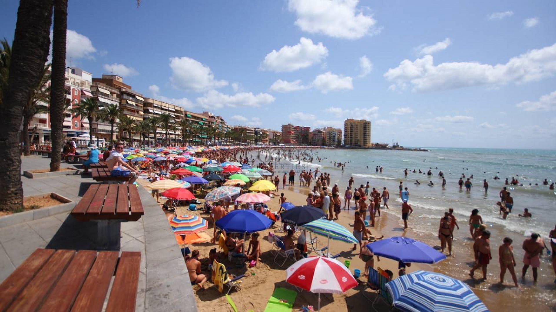 3-RUMSLÄGENHET 450 METER FRÅN PLAYA DEL CURA. - Lotus Properties