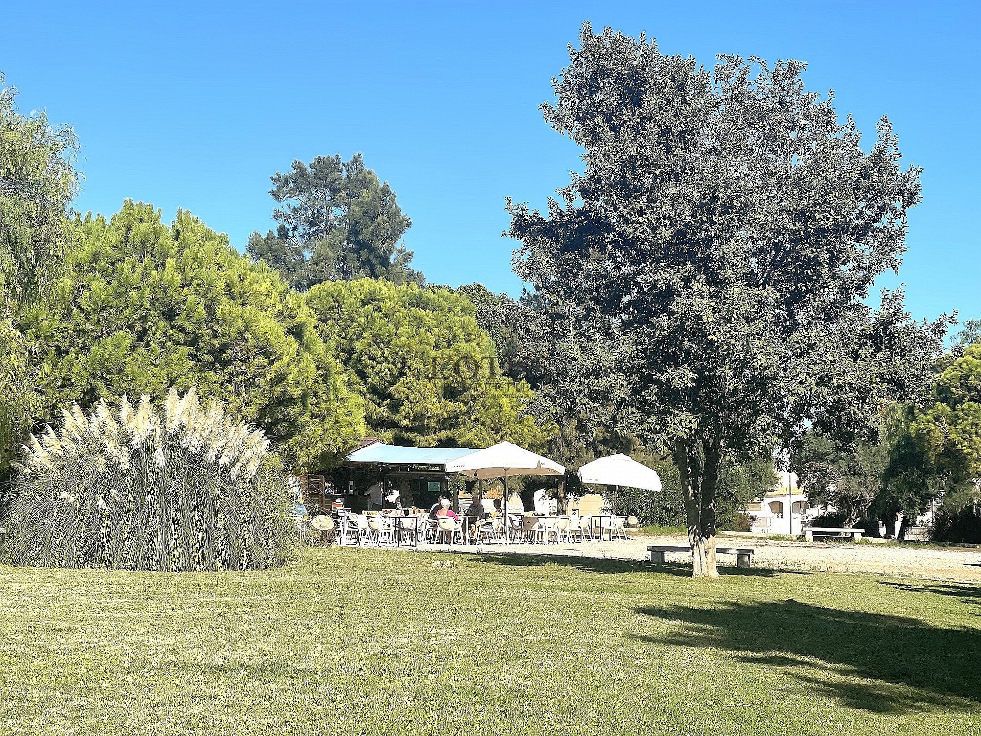 Super nice ground floor in the southwest in Altos de la Bahia III - Lotus Properties