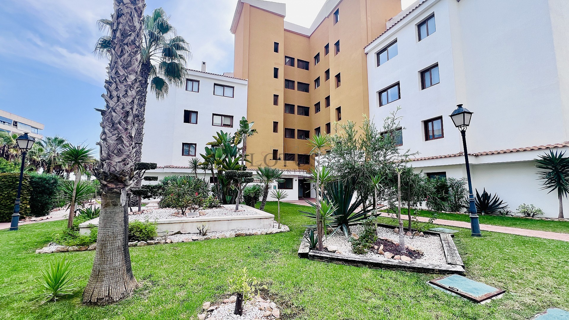 Fantastisk takvåning i La Entrada, Punta Prima - Lotus Properties