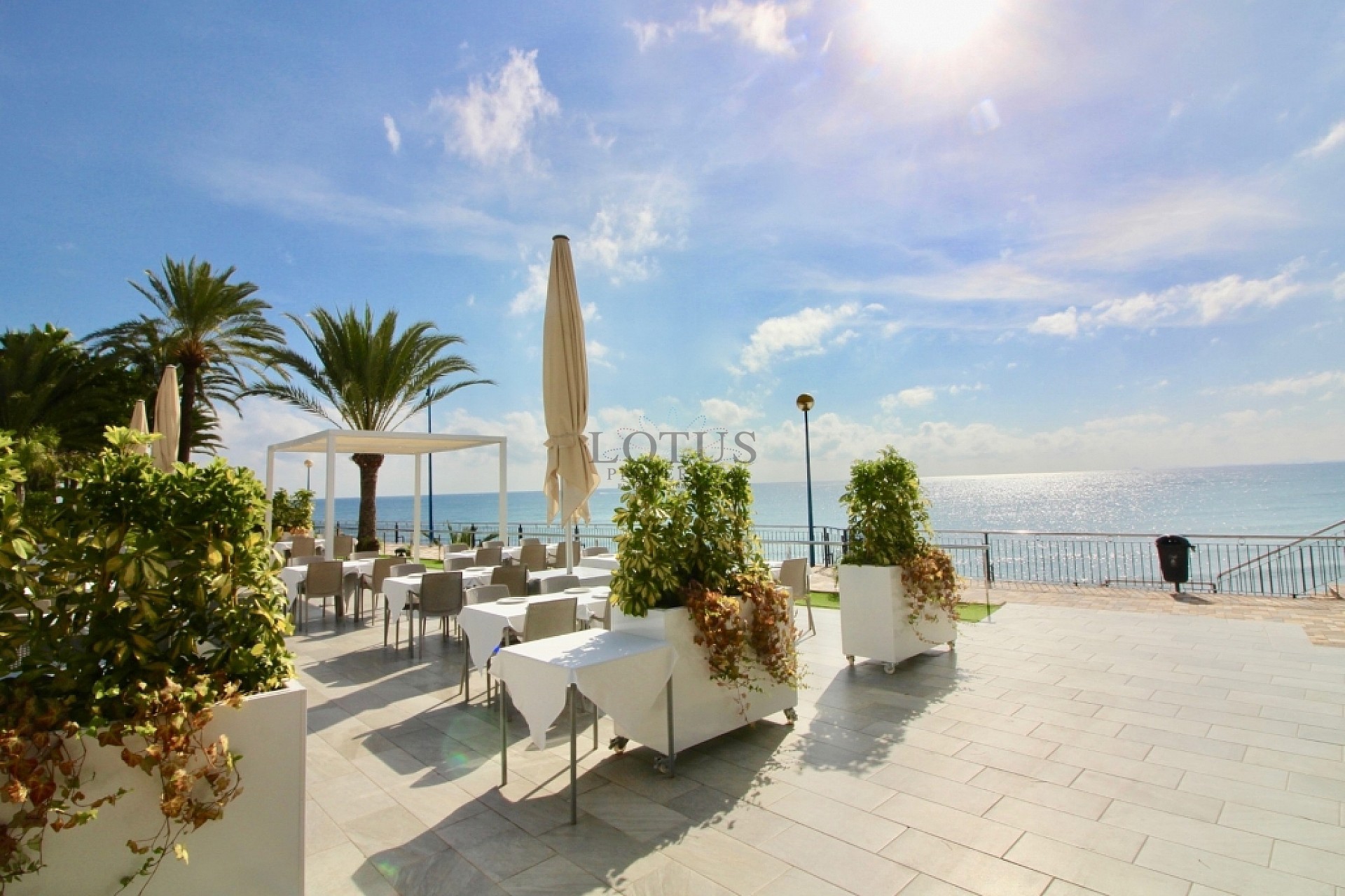 Fantastisk takvåning i La Entrada, Punta Prima - Lotus Properties