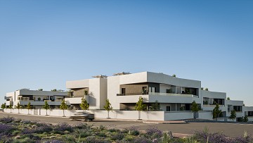 Exclusive Residential Complex in San Miguel de Salinas - Lotus Properties