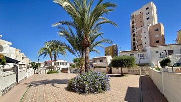Mysig markplanslägenhet endast 500 Meter till La Mata stranden! - Lotus Properties