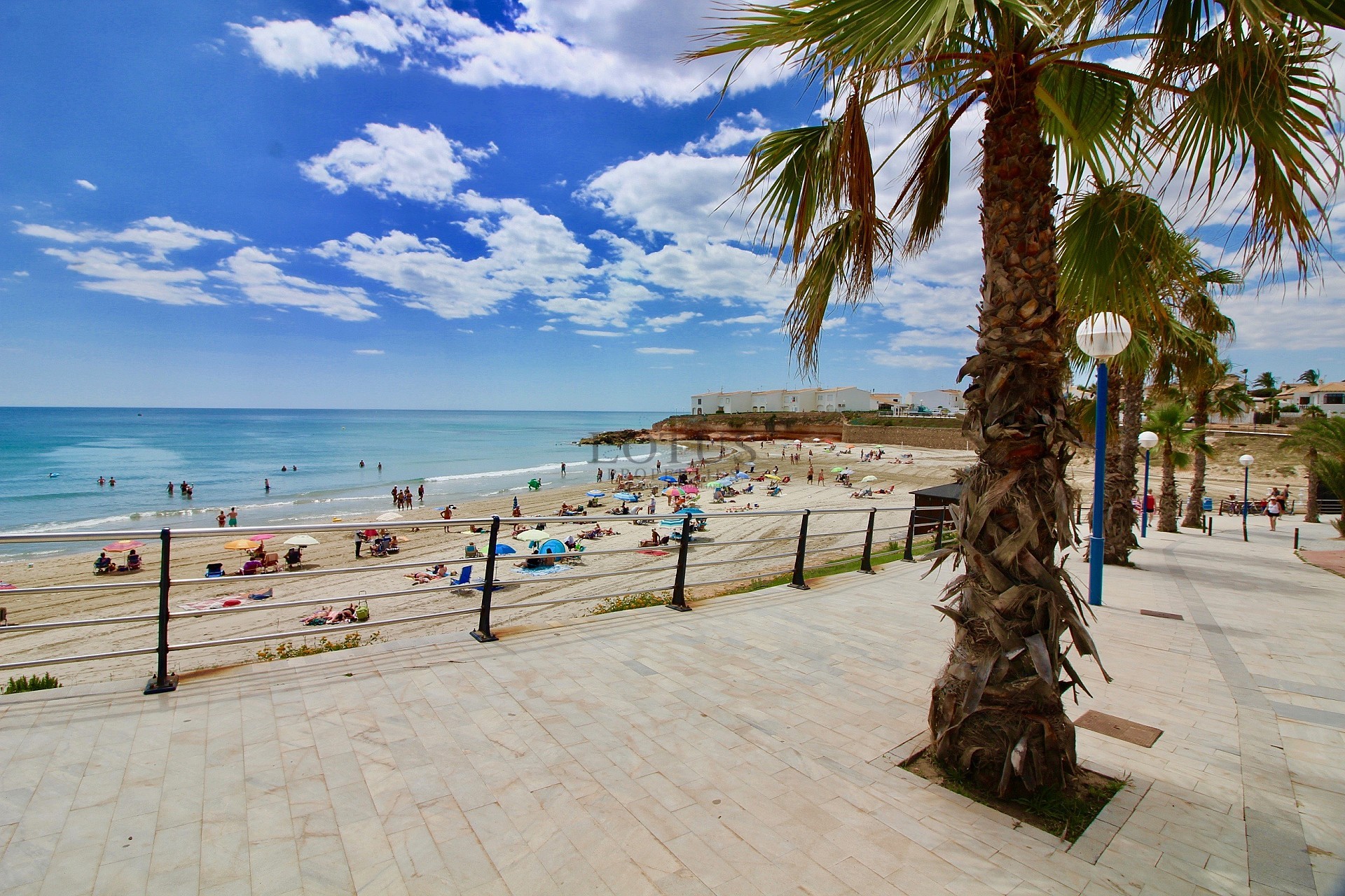 New apartments close too the beach - Playa Flamenca - Lotus Properties