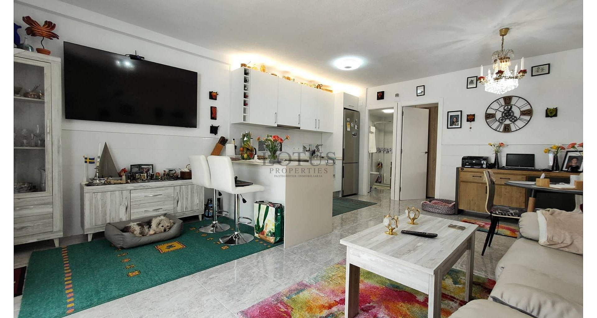 Renoverad modern bungalow i Nueva Torrevieja - Lotus Properties