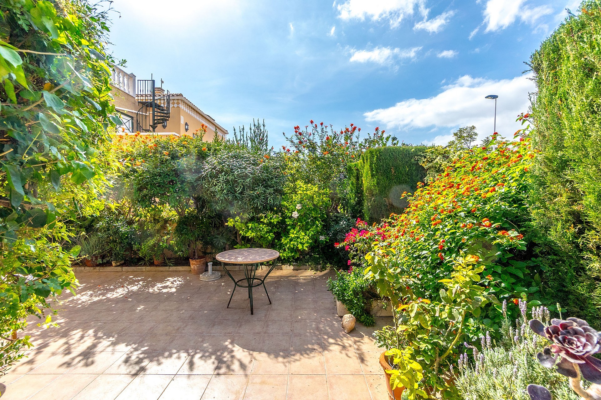 Super mysig markplan i populära Rocio II i hjärtat av Aguas Nuevas  - Lotus Properties