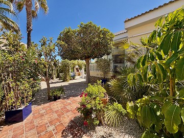 Single-storey semi detached house – Plaza la Fiesta, “Conjunto Romeo” - Lotus Properties