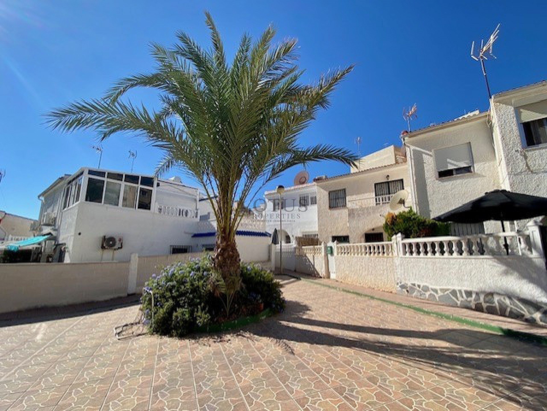 Ground floor apartment only 500 meters to La Mata beach! - Lotus Properties