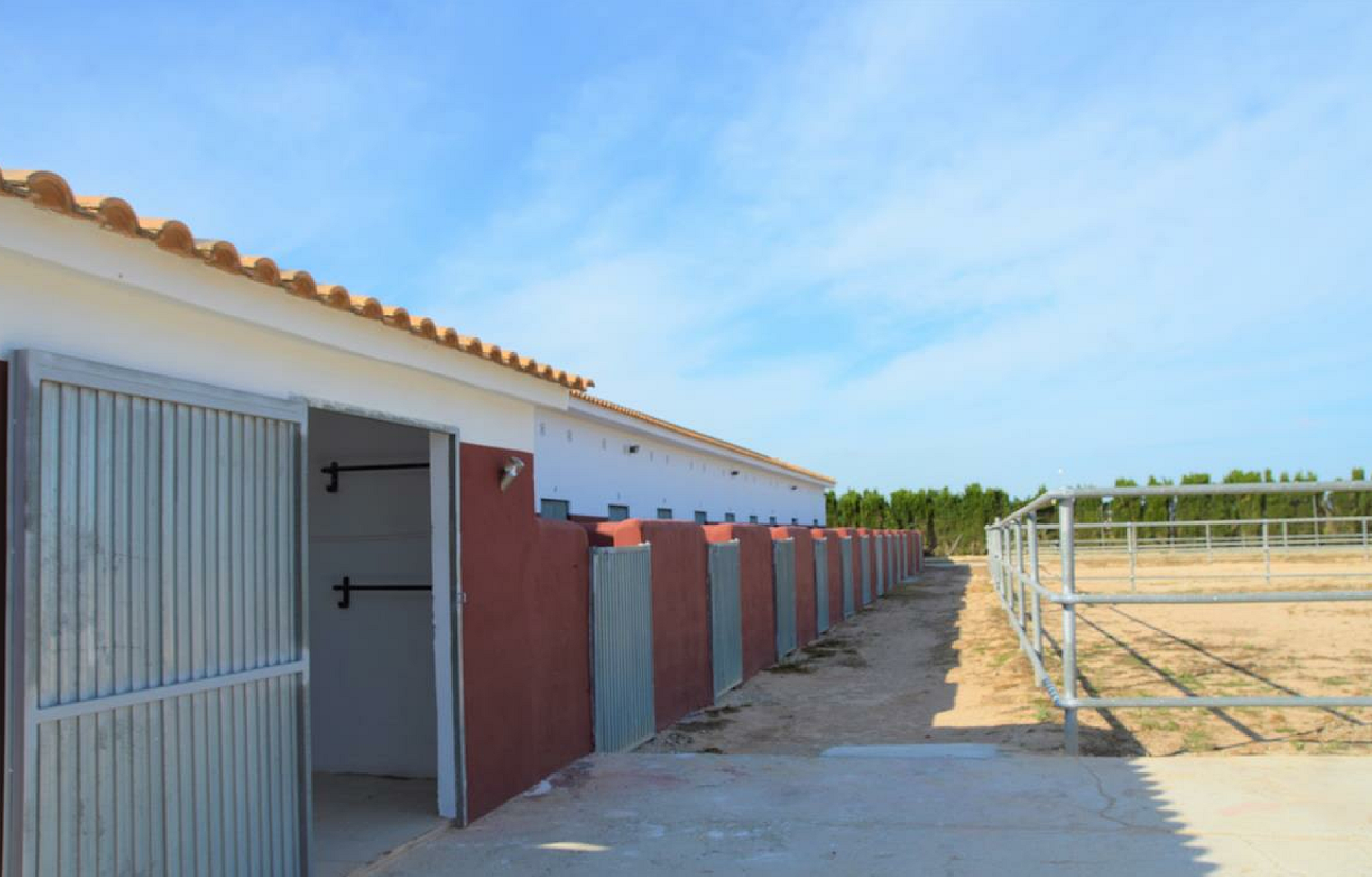 Plot of 10.006,00 m² with horse stables in San Miguel de Salinas - Lotus Properties