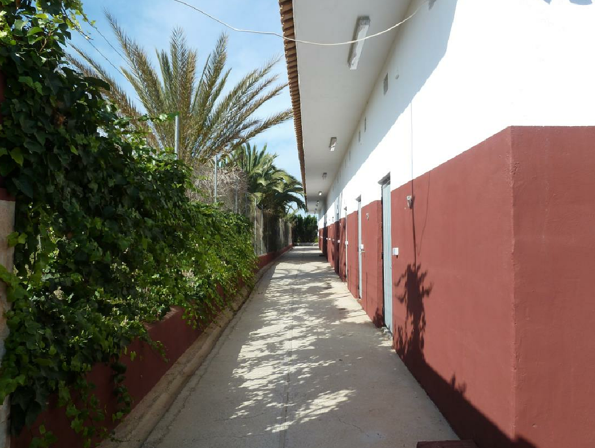 Plot of 10.006,00 m² with horse stables in San Miguel de Salinas - Lotus Properties