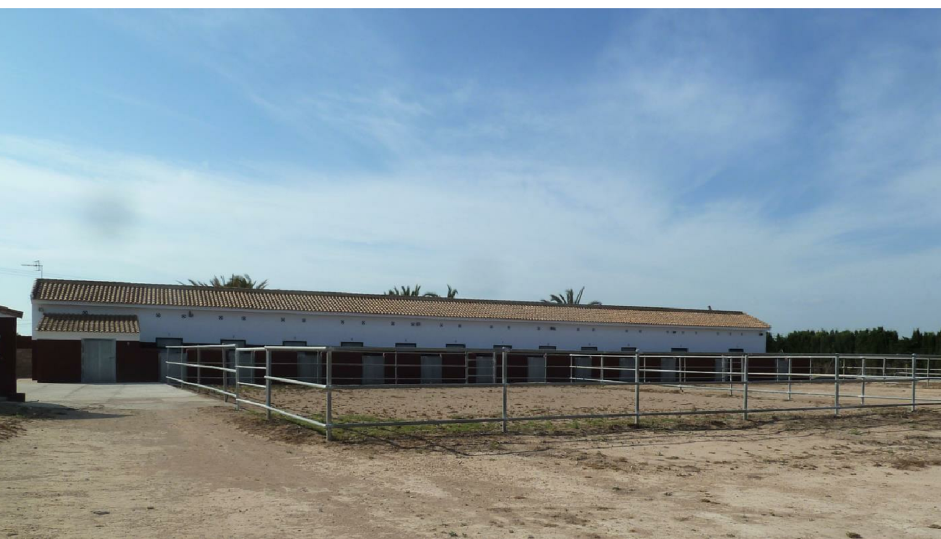 Plot of 10.006,00 m² with horse stables in San Miguel de Salinas - Lotus Properties