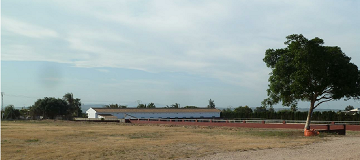 Plot of 10.006,00 m² with horse stables in San Miguel de Salinas - Lotus Properties