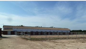 Plot of 10.006,00 m² with horse stables in San Miguel de Salinas - Lotus Properties