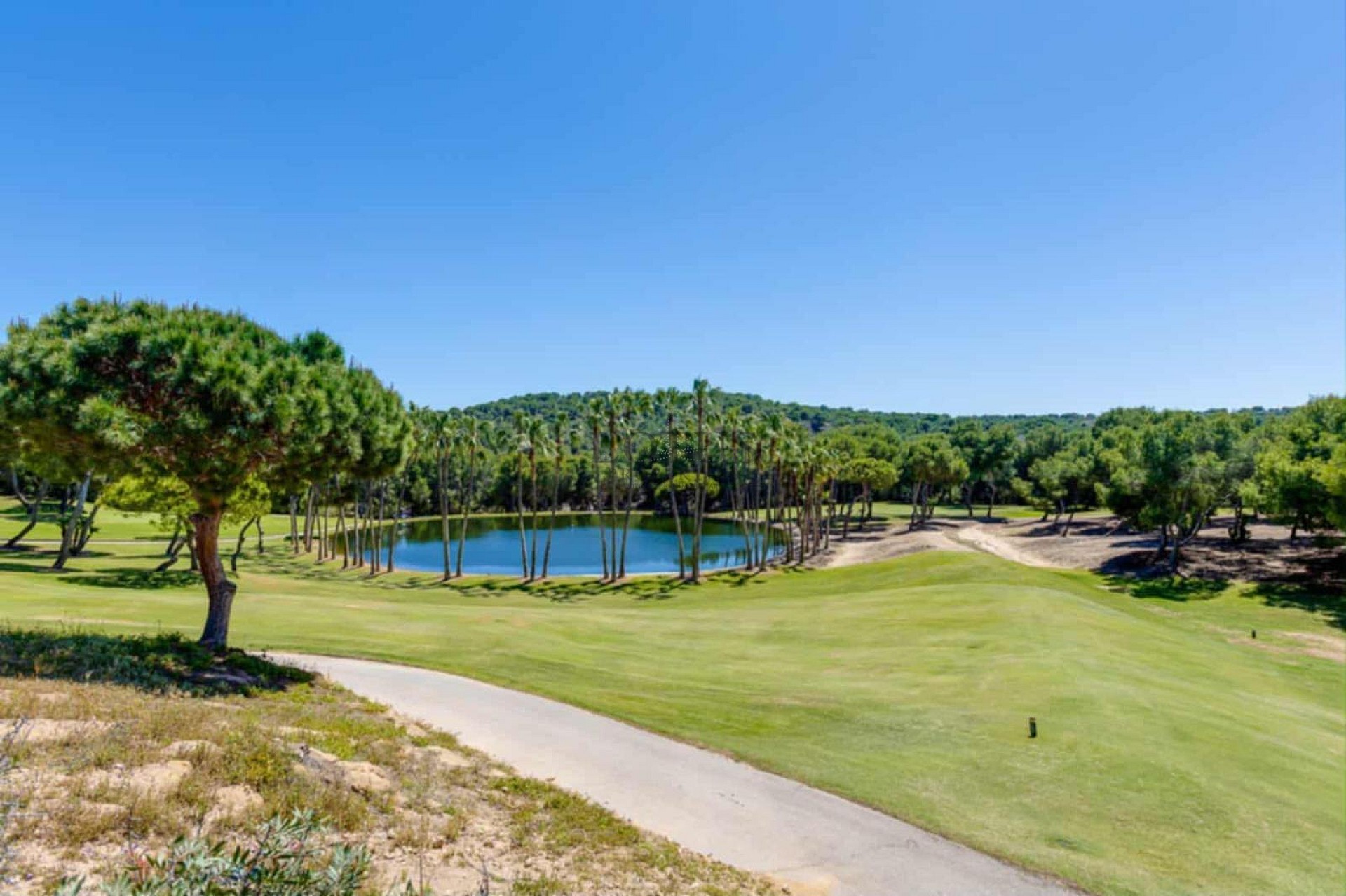 Charming Corner Townhouse with Stunning Roof Terrace and Sea Views in Villamartin - Lotus Properties