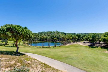 Charming Corner Townhouse with Stunning Roof Terrace and Sea Views in Villamartin - Lotus Properties