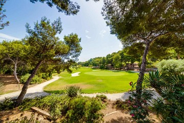 Charming Corner Townhouse with Stunning Roof Terrace and Sea Views in Villamartin - Lotus Properties