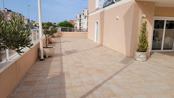 Luxury apartment project in beautiful El Raso - Lotus Properties